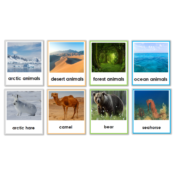 Animals and Their Habitats -3 Part Cards – Montessori