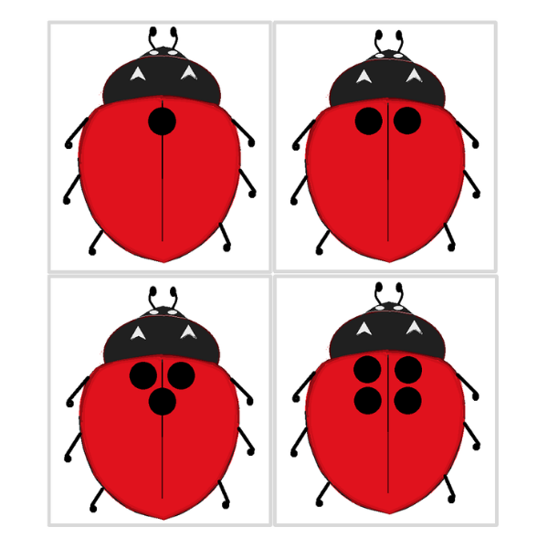Ladybird Dot To Dot