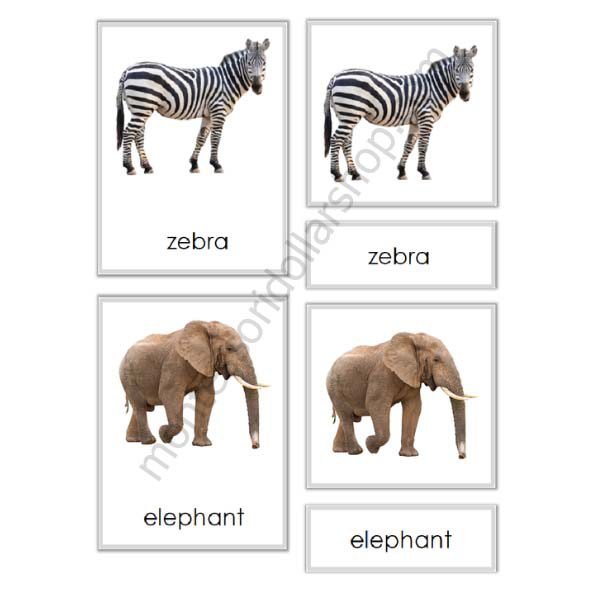 Nocturnal and Diurnal Animals -3 Part Cards – Montessori