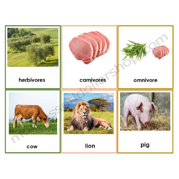 Sorting Cards – Herbivores, Carnivores, Omnivores – Montessori