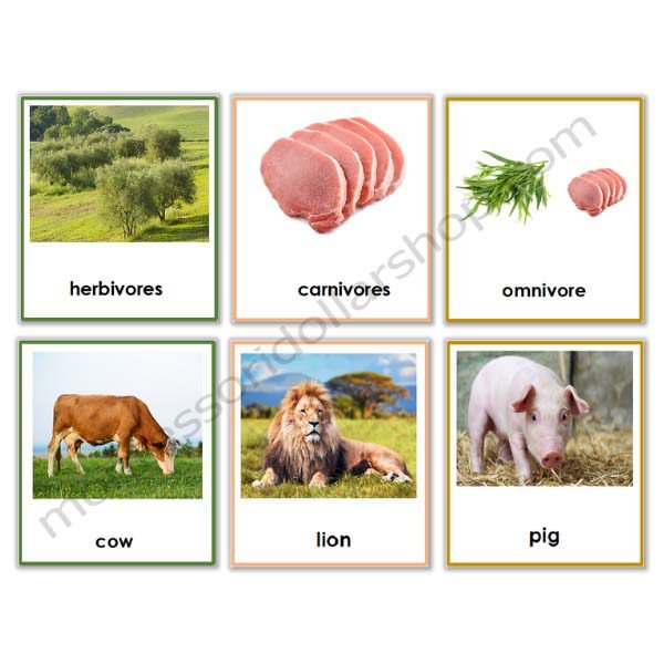 Sorting Cards – Herbivores, Carnivores, Omnivores – Montessori