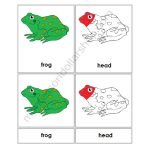 parts of frog