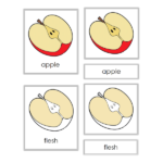 parts of an apple 600×600 (1)