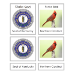 Kentucky 3 part cards 600×600