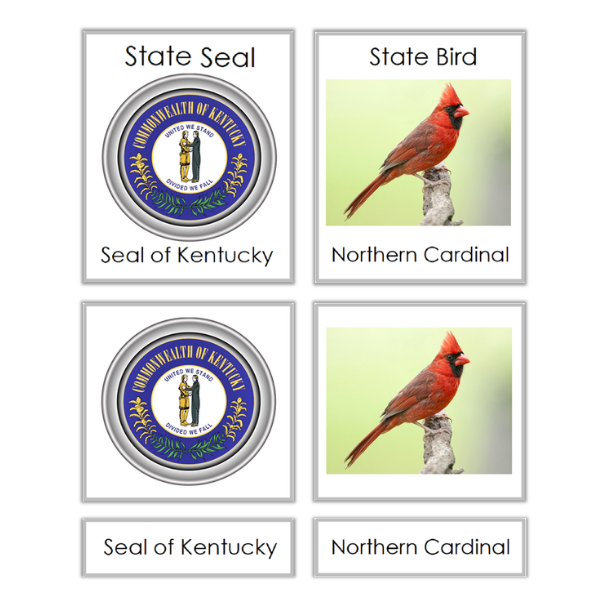 Kentucky 3 part cards 600×600