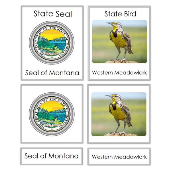 Montana State Symbols – 3 Part Cards – Montessori