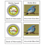 Nevada 3 part cards 600×600
