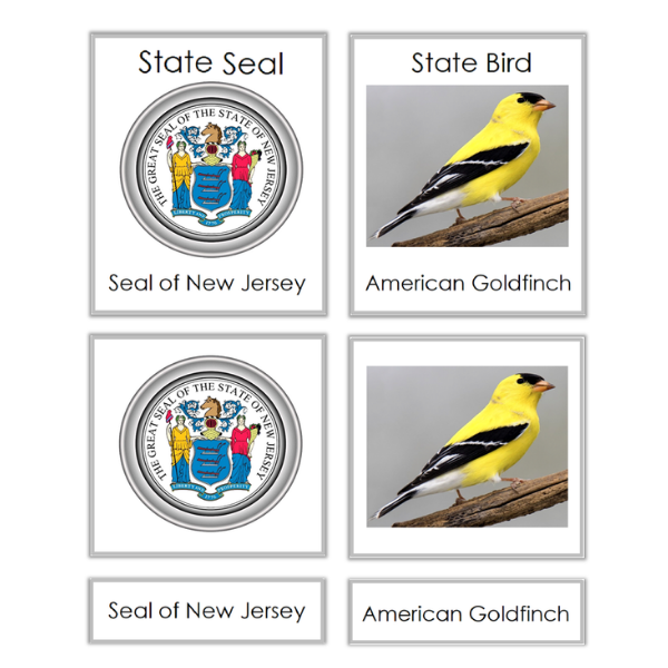 New Jersey 3 part cards 600×600