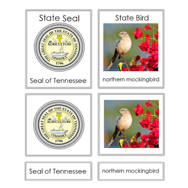 Tennessee 3 part cards 600×600