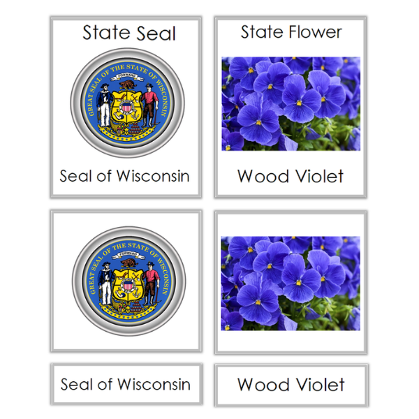 Wisconsin 3 part cards 600×600