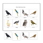 birds binder matching 600×600